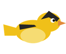 American Goldfinch
